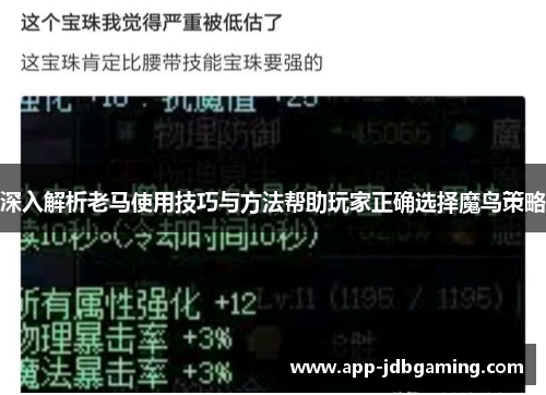 深入解析老马使用技巧与方法帮助玩家正确选择魔鸟策略